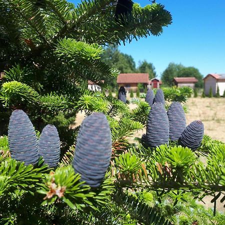 Paeevatalu Camping Hotel Vilusi Luaran gambar