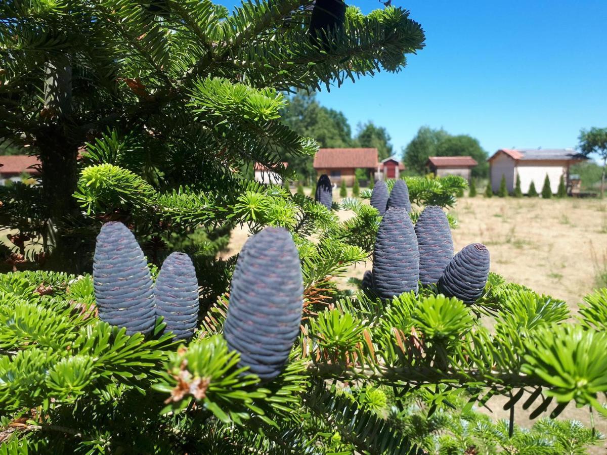 Paeevatalu Camping Hotel Vilusi Luaran gambar