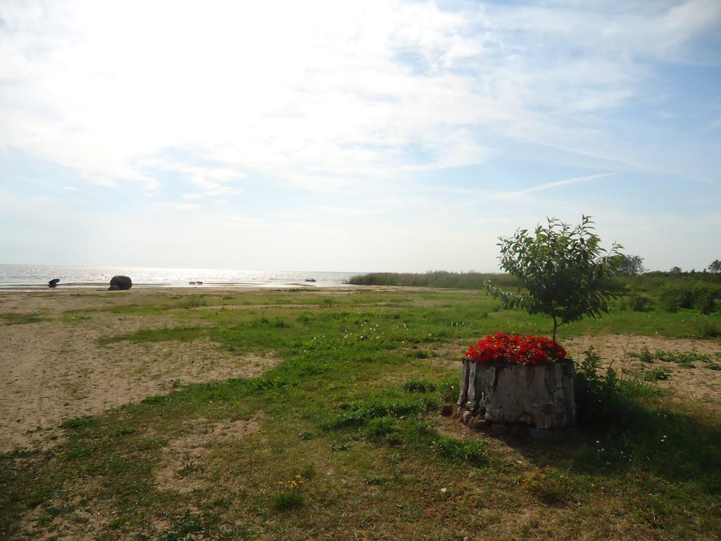 Paeevatalu Camping Hotel Vilusi Luaran gambar